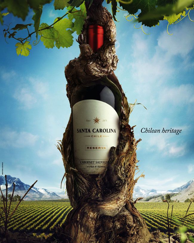 圣卡罗葡萄酒创意广告设计